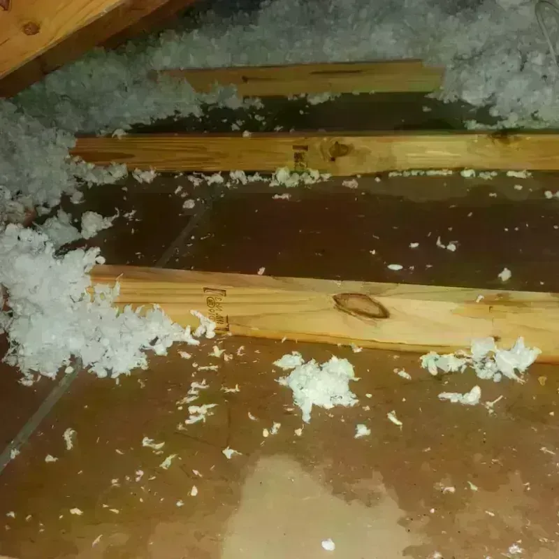 Attic Water Damage in Souderton, PA